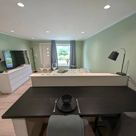 Reinebringen View Apartment