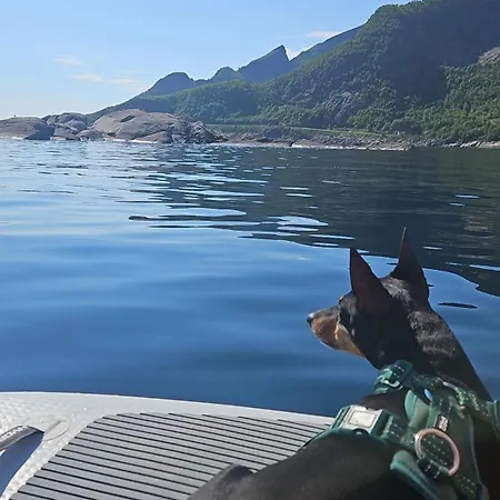 דירה Reinebringen View